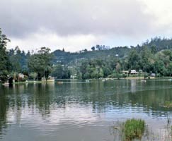 Kodaikanal Vacation