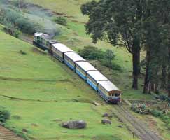 Kodaikanal Tour Package