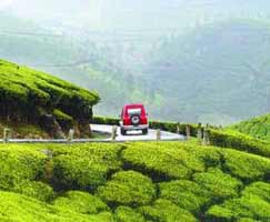 Kodaikanal Honeymoon Tour Package