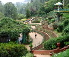 Kodaikanal Tourism Package