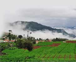 Holiday In Kodaikanal