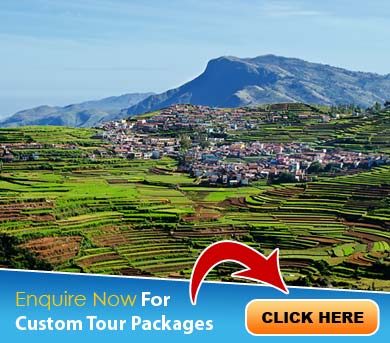 Kodaikanal Tour Packages