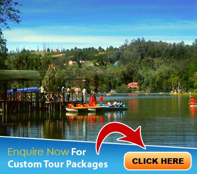 Kodaikanal Tour Packages